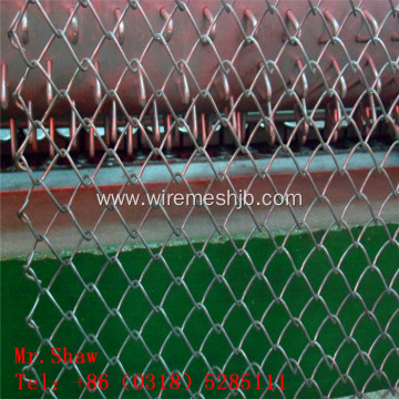 PVC Coted Chain Link Fence 50MMX50MM